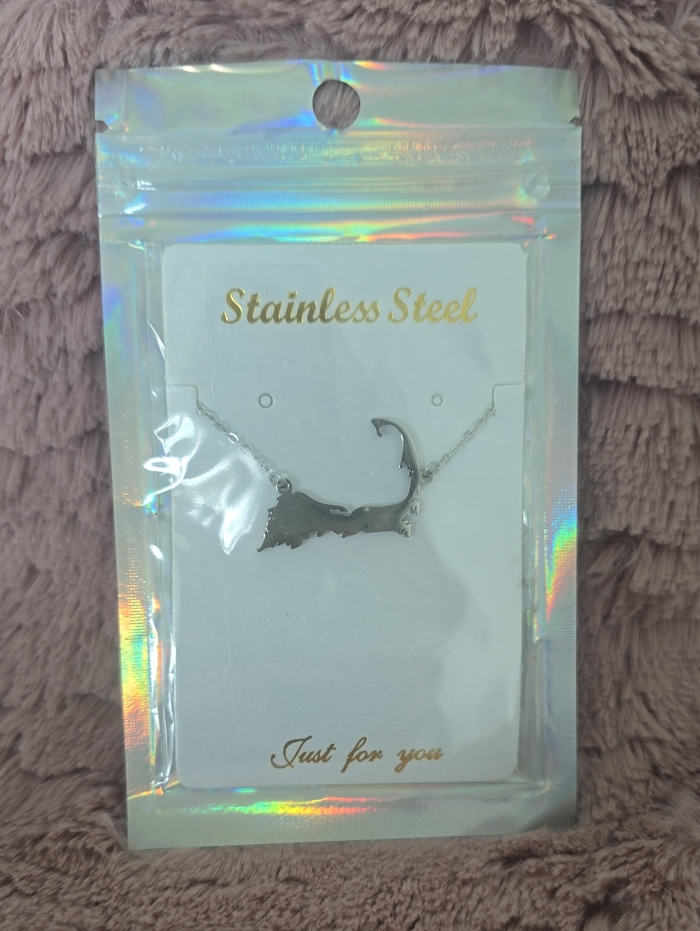 Stainless Steel Cape Cod Map Necklace - Silver